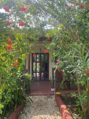 Zanzllywood Hotel and Apartments